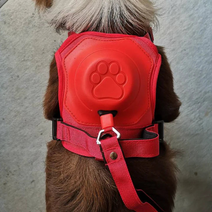 PAWPLAY™ 3 in 1 Dog Harness with Built-In Leash