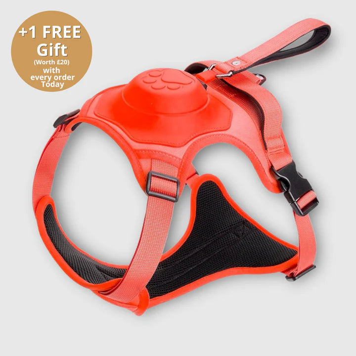 PAWPLAY™ 3 in 1 Dog Harness with Built-In Leash