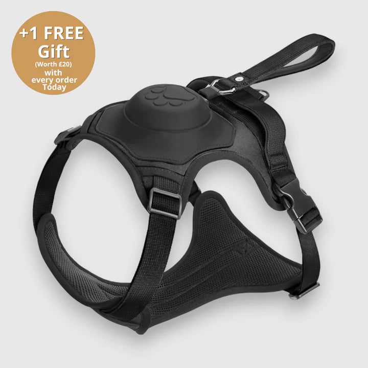 PAWPLAY™ 3 in 1 Dog Harness with Built-In Leash