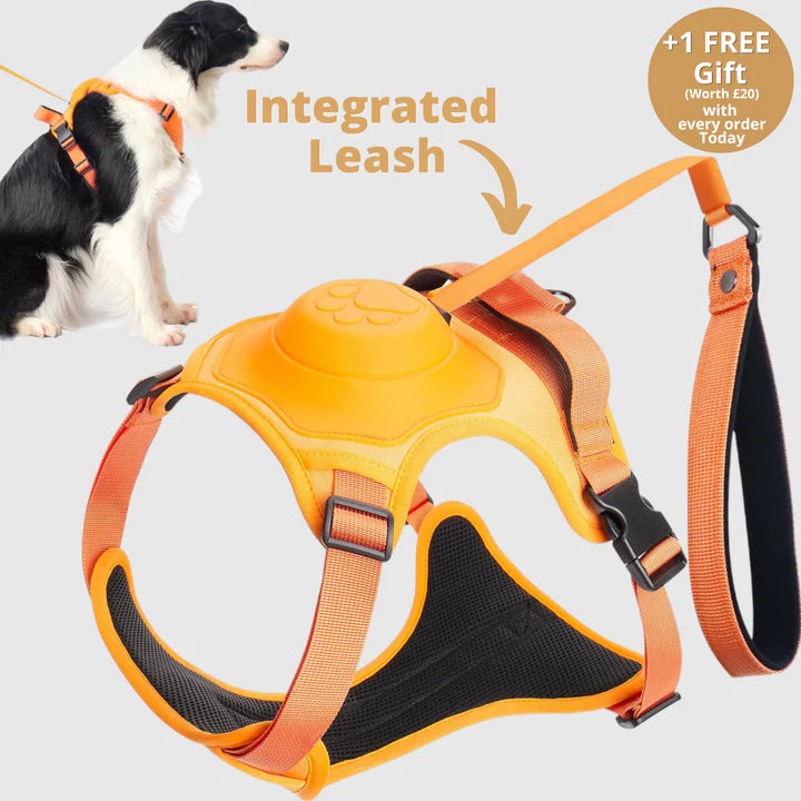 PAWPLAY™ 3 in 1 Dog Harness with Built-In Leash