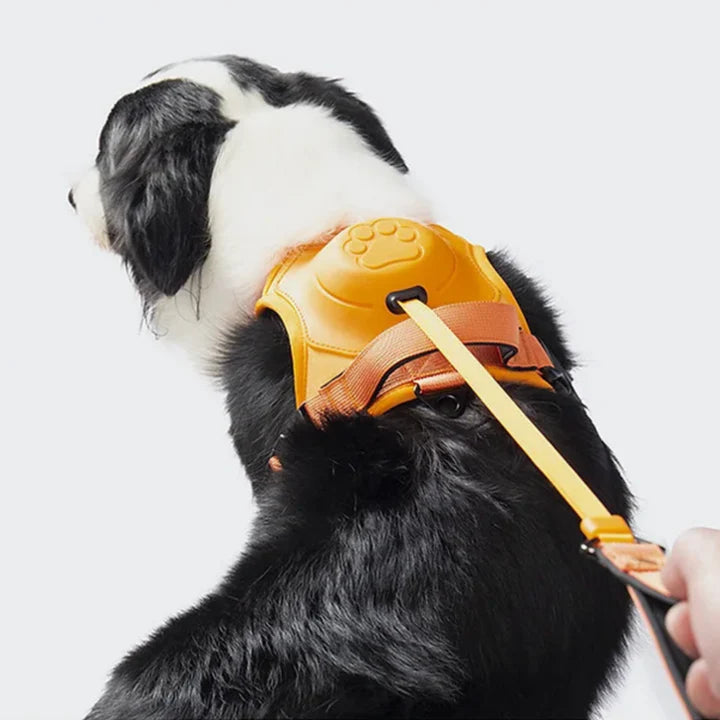 PAWPLAY™ 3 in 1 Dog Harness with Built-In Leash