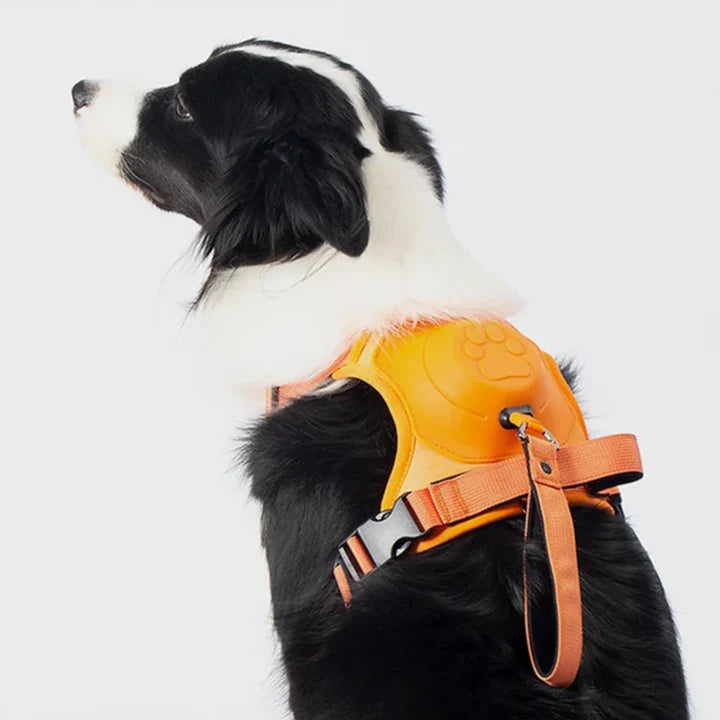 PAWPLAY™ 3 in 1 Dog Harness with Built-In Leash