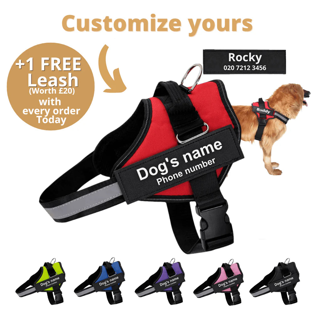 PAWPLAY™Ultimate Personalized No Pull Dog Harness