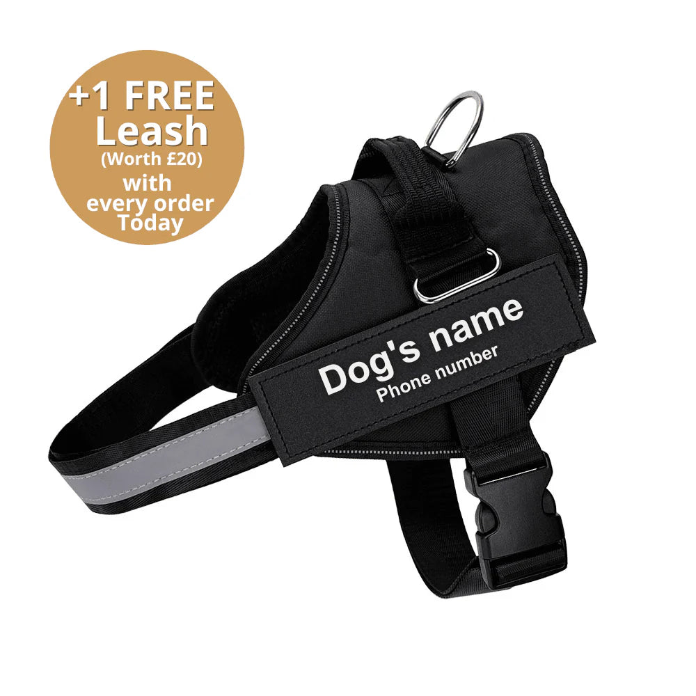 PAWPLAY™Ultimate Personalized No Pull Dog Harness