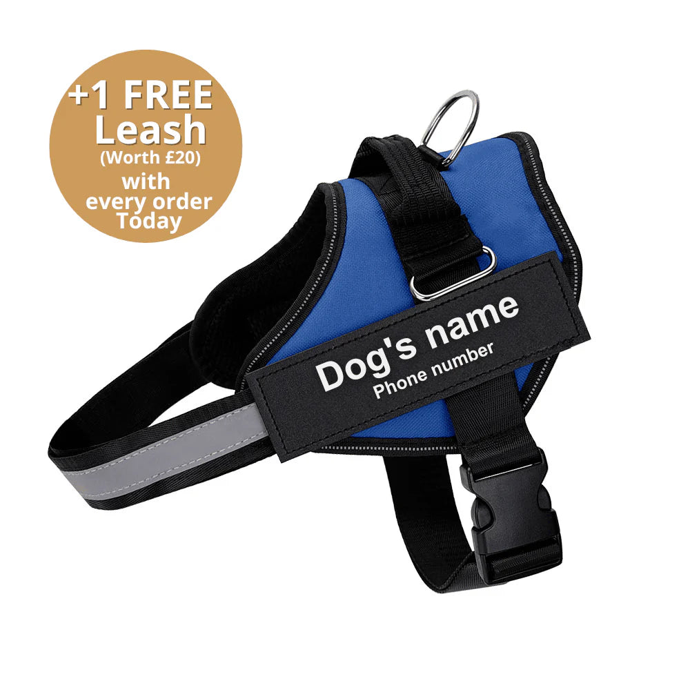 PAWPLAY™Ultimate Personalized No Pull Dog Harness
