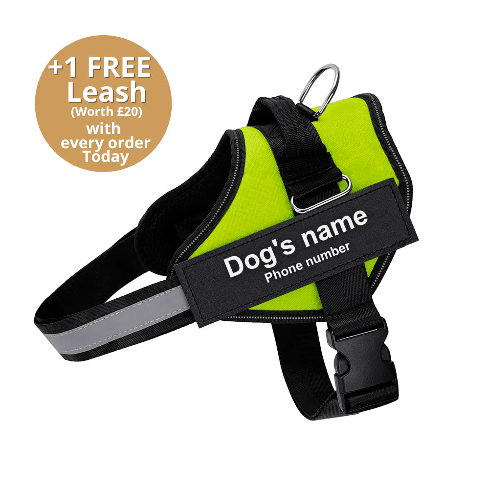PAWPLAY™Ultimate Personalized No Pull Dog Harness