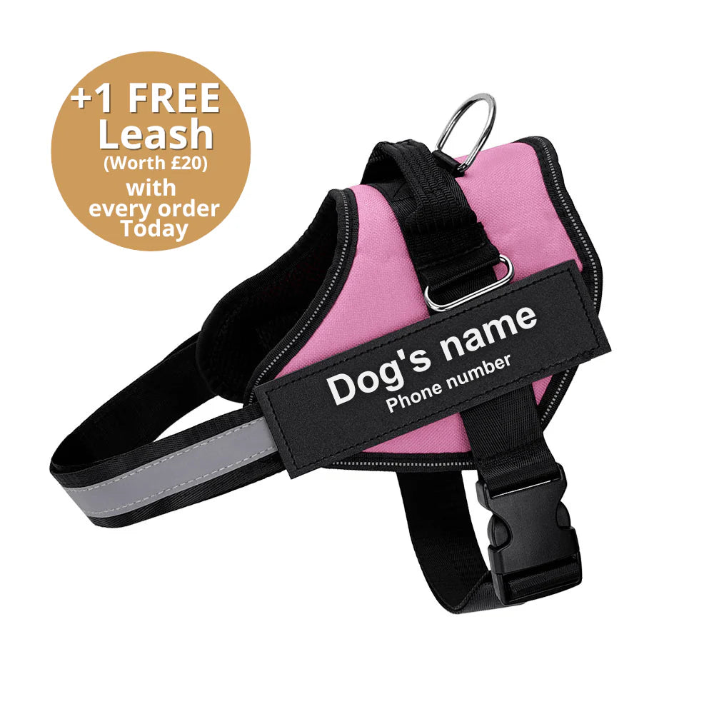 PAWPLAY™Ultimate Personalized No Pull Dog Harness