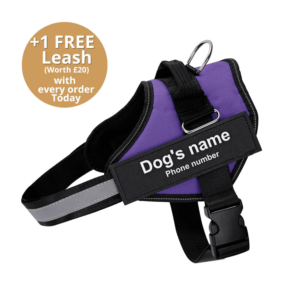 PAWPLAY™Ultimate Personalized No Pull Dog Harness