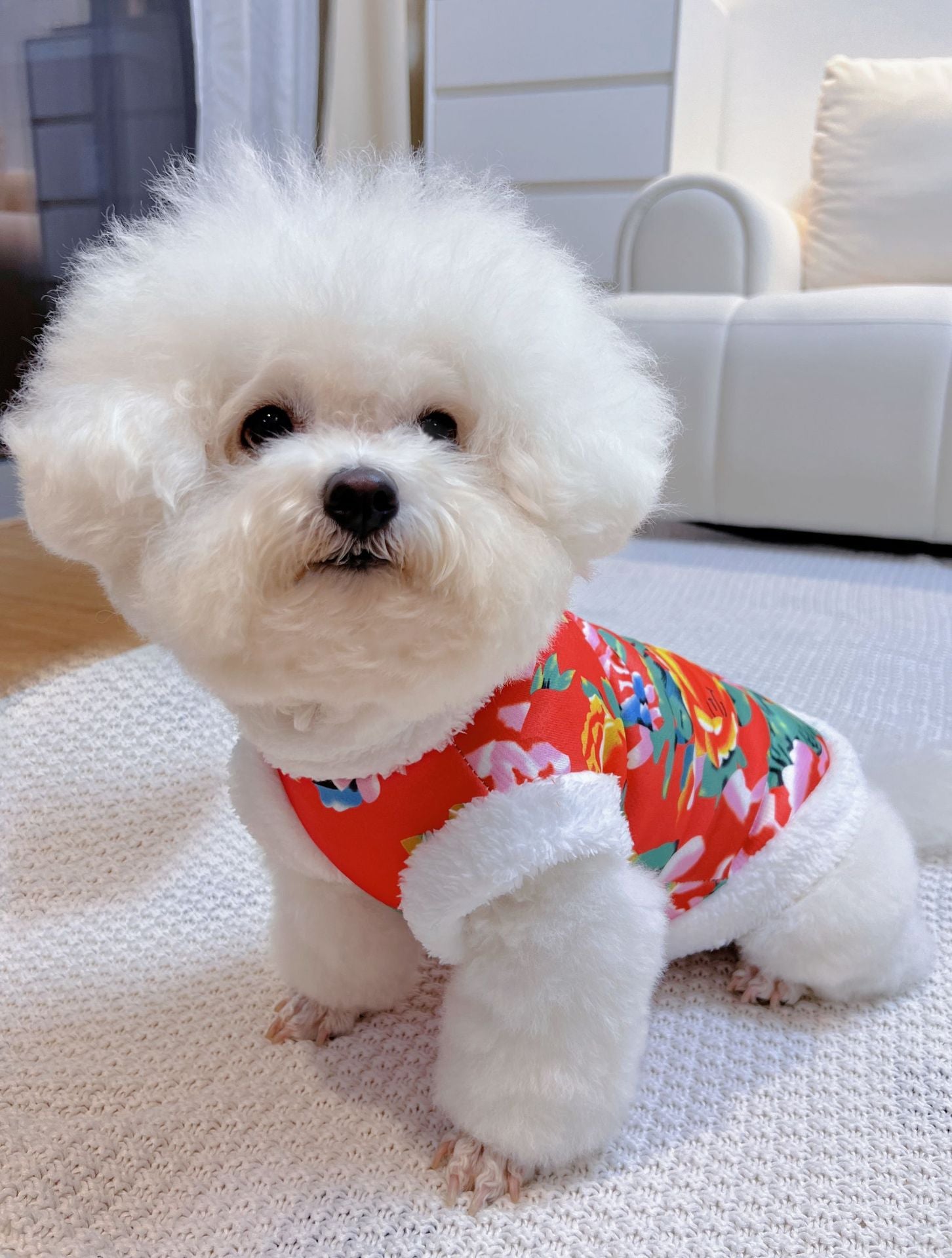 Floral Winter Pet Coat | Cozy Northeast Style Dog Jacket